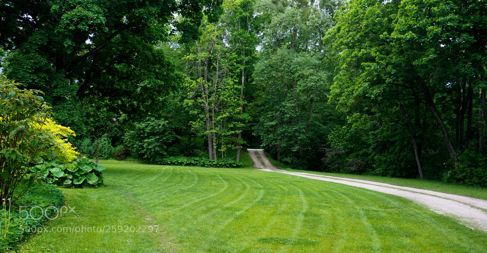 Sony a6000 sample photo. Palca garden photography