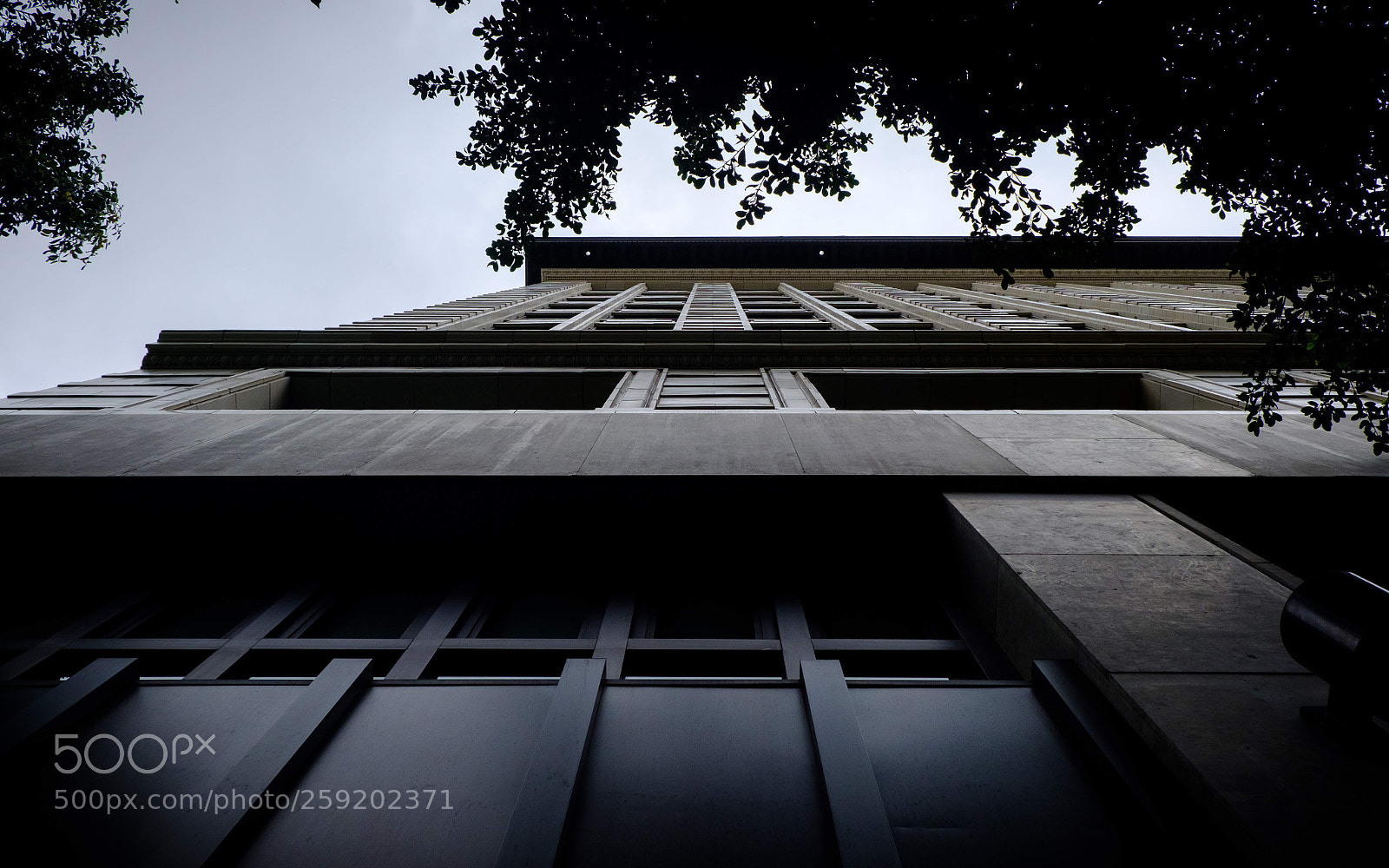 Fujifilm X-T2 sample photo. The rowan building photography