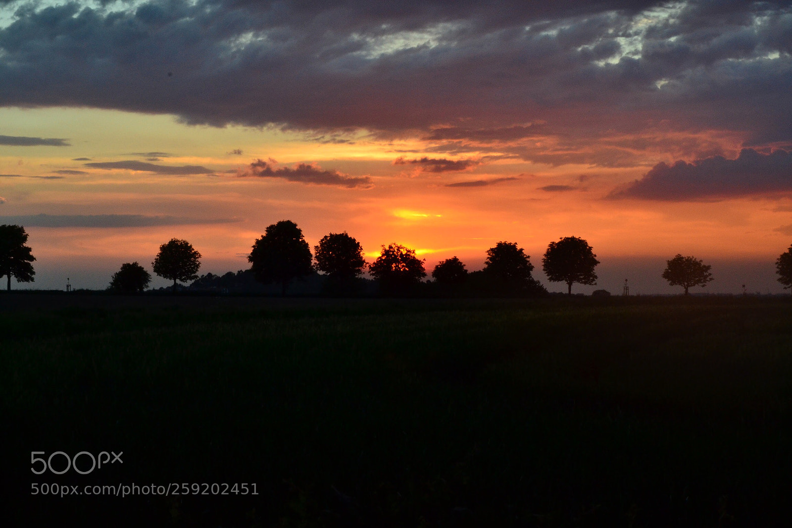 Nikon D3100 sample photo. Sonnenuntergang 2 photography