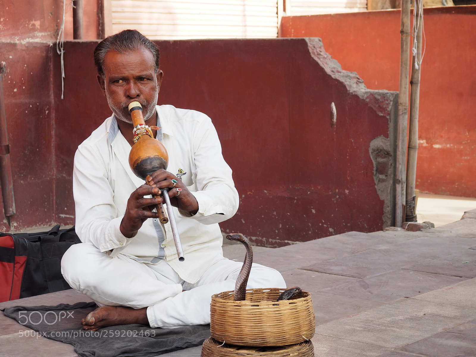 Olympus OM-D E-M10 II sample photo. Snake charmer photography