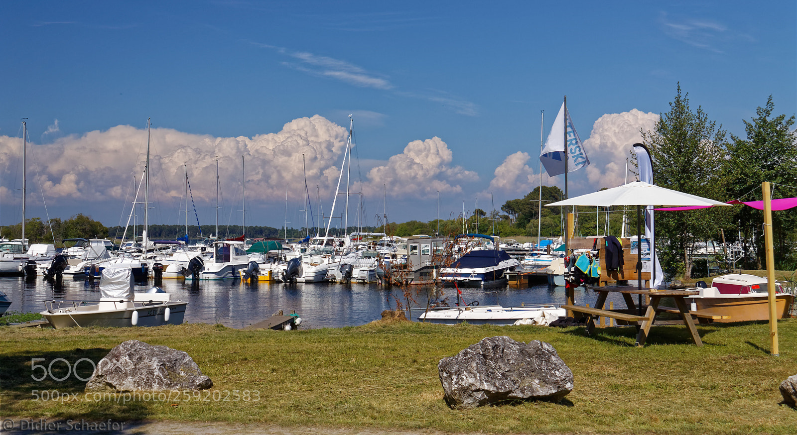Canon EOS 50D sample photo. Marina of estey photography