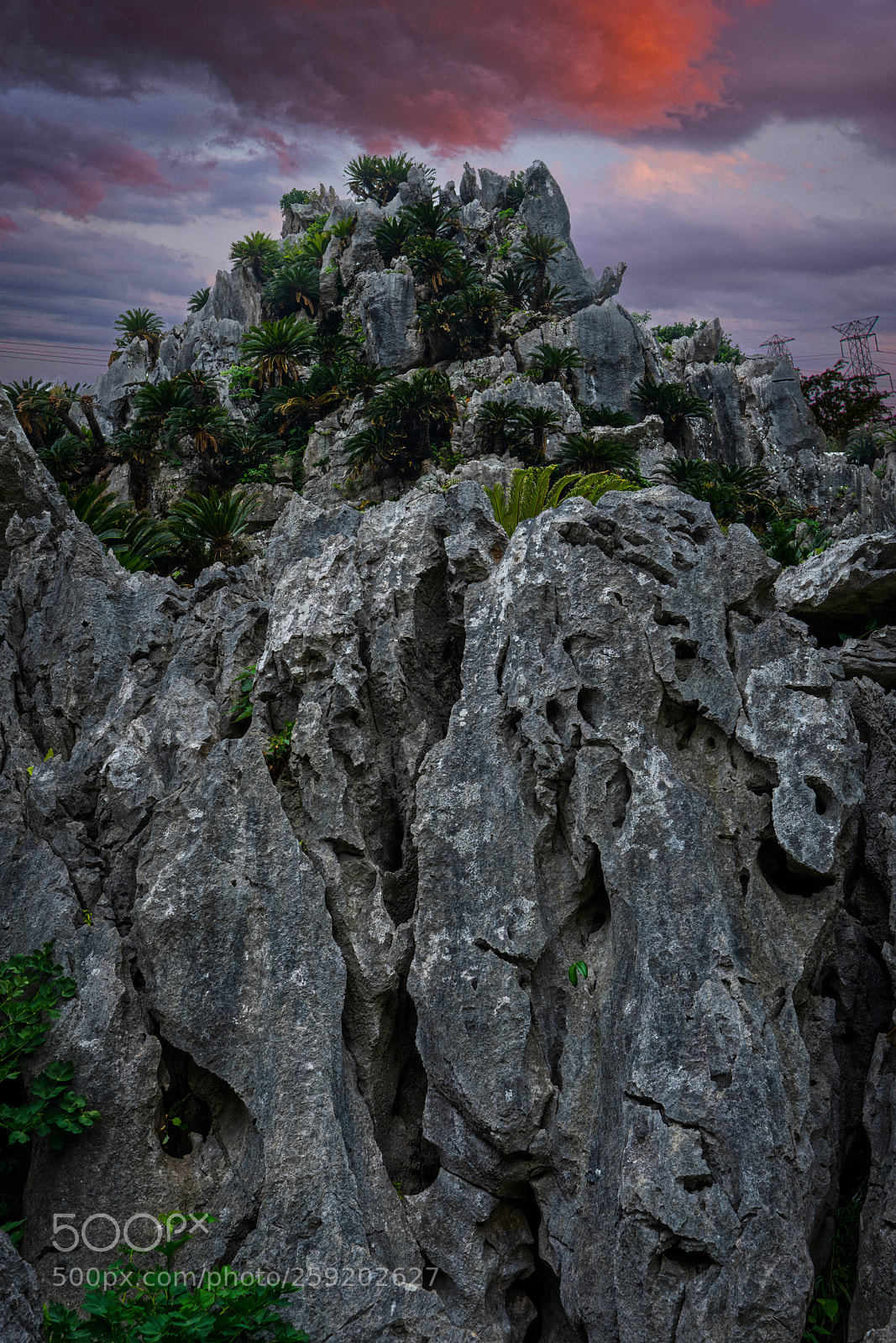 Sony a7R III sample photo. Big rock mountain photography