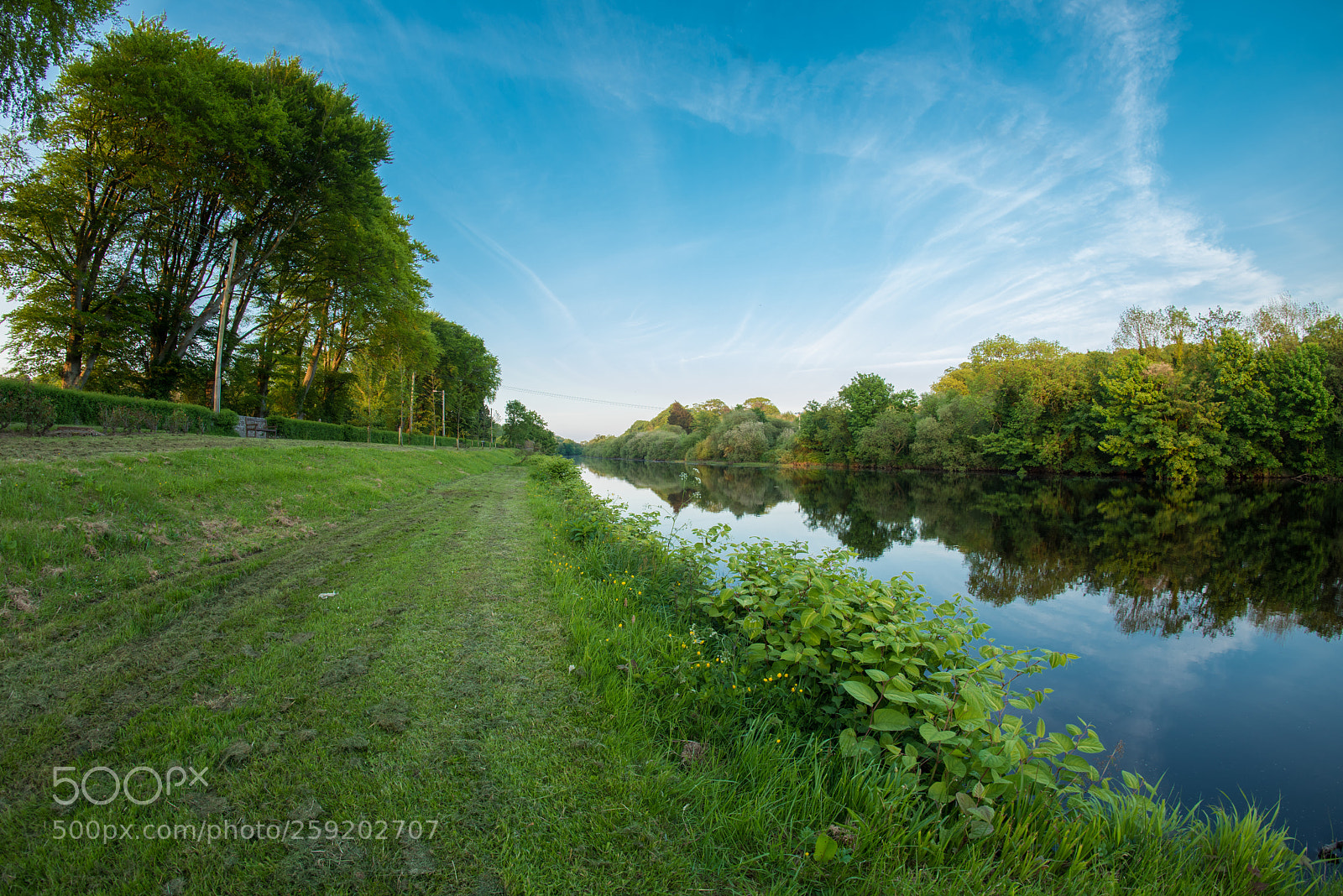 Nikon D810 sample photo. River feale photography
