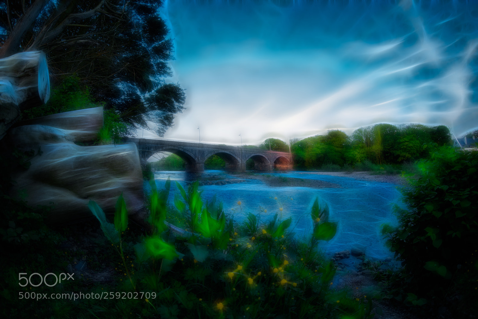 Nikon D810 sample photo. River feale with fractalius photography