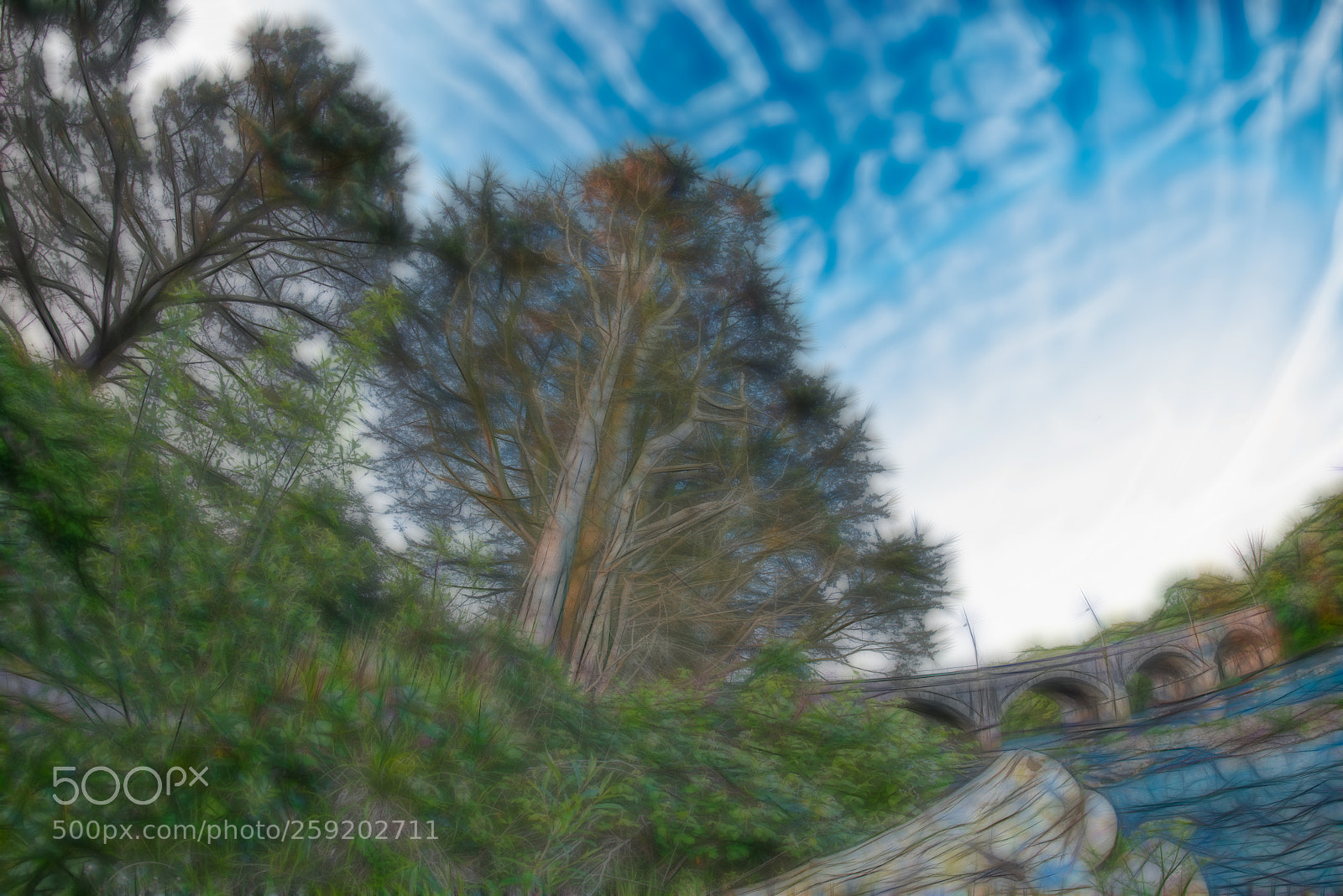 Nikon D810 sample photo. Different view photography