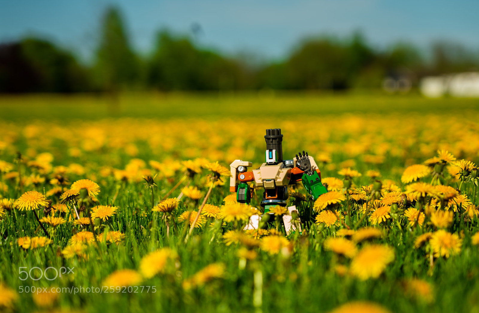 Sony a7R III sample photo. Untitled photography