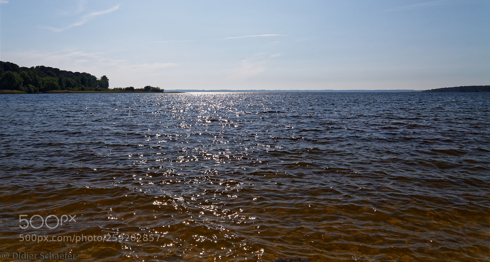 Canon EOS 50D sample photo. Sunny day photography