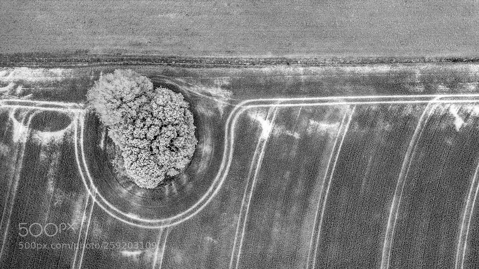 DJI FC220 sample photo. Field photography