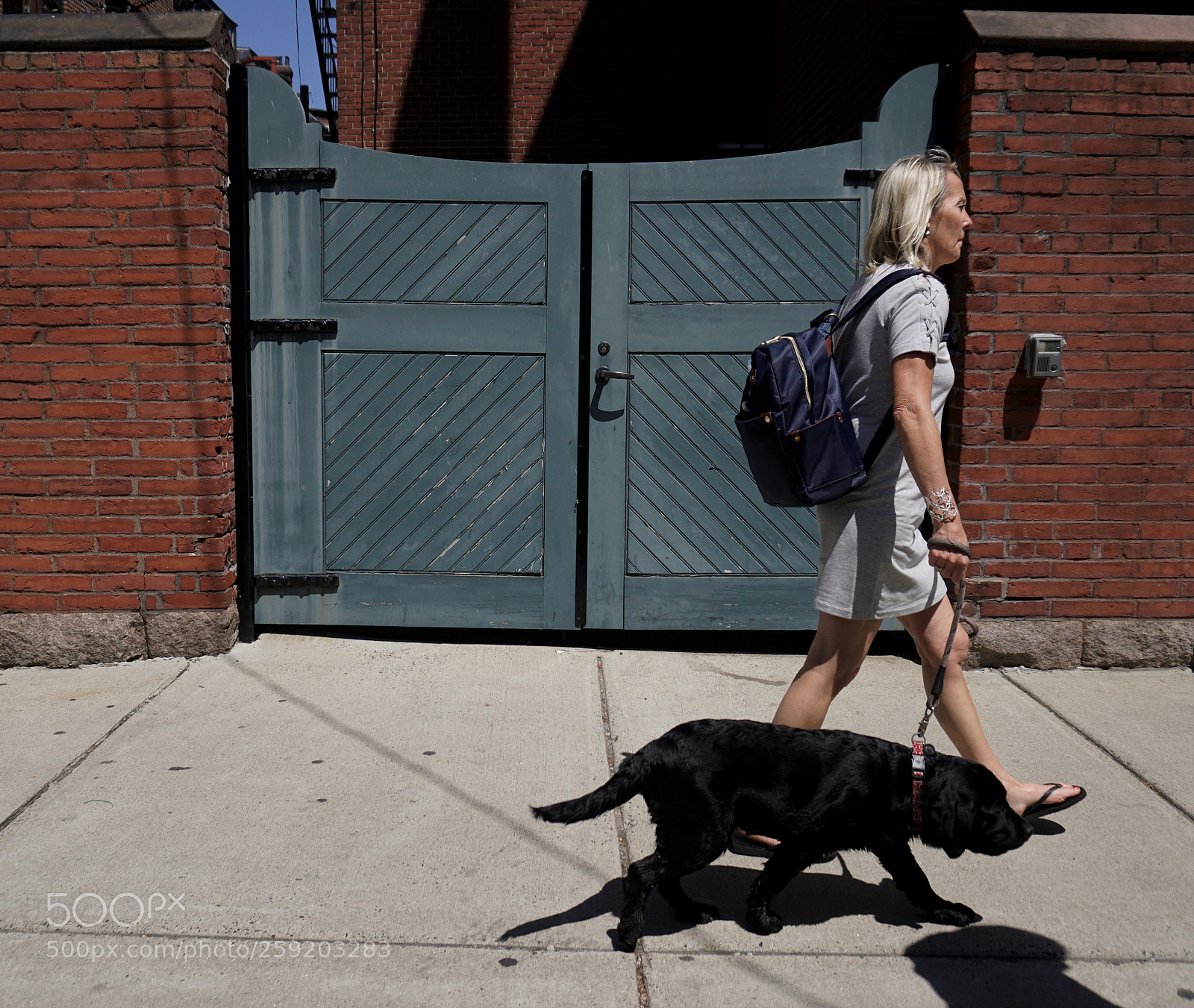 Sony a6500 sample photo. Woman dog walk past photography
