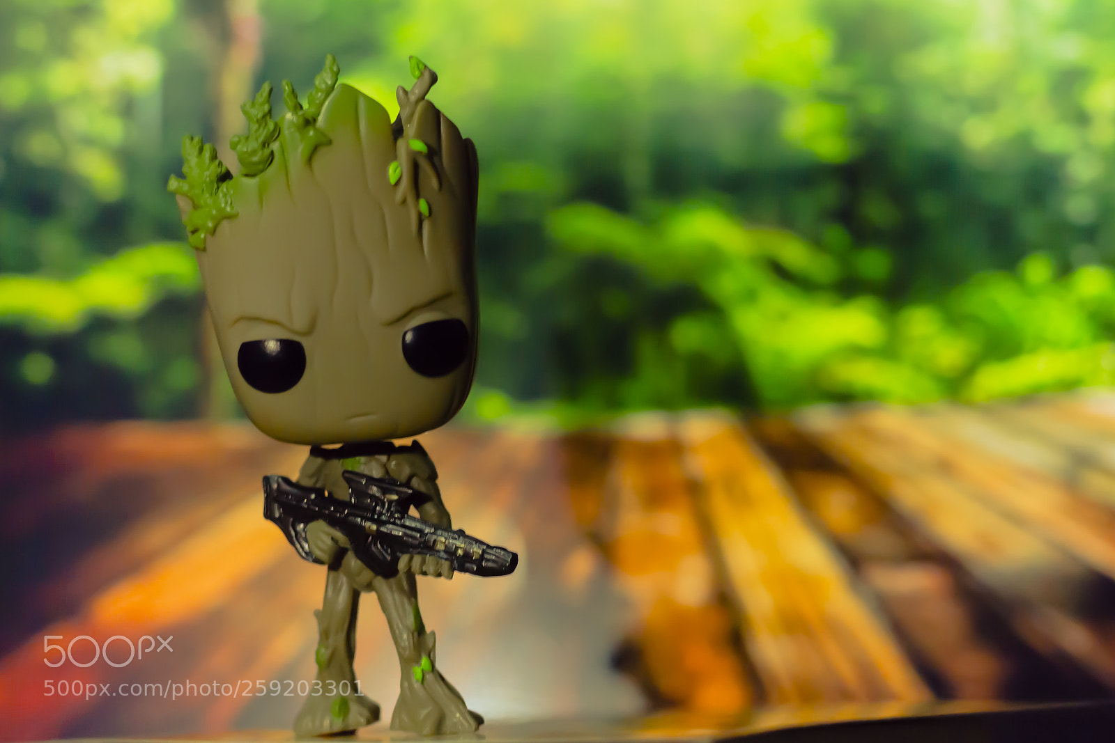 Canon EOS 700D (EOS Rebel T5i / EOS Kiss X7i) sample photo. Groot photography