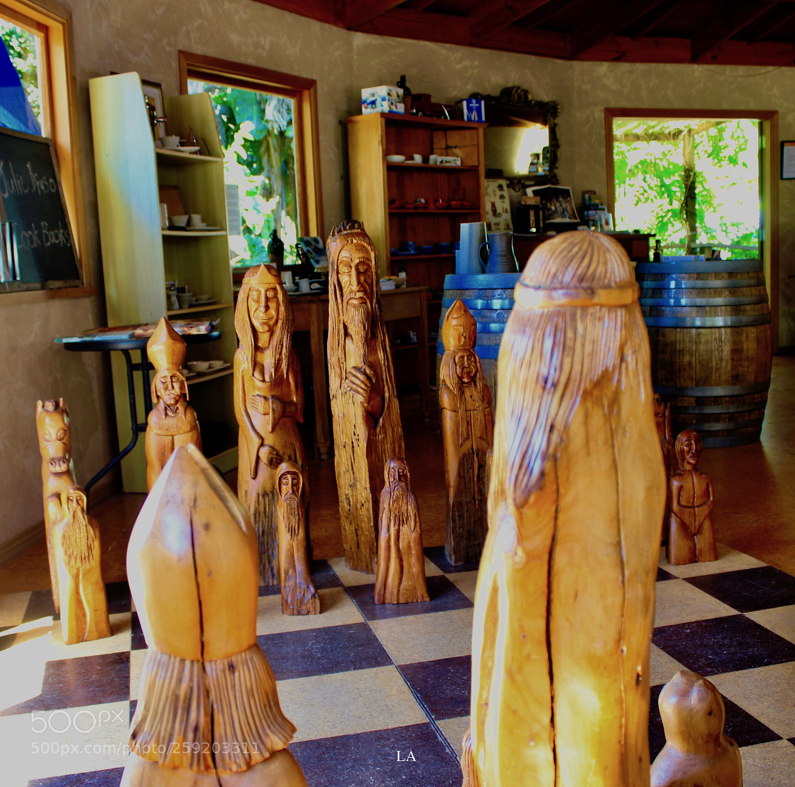 Canon EOS 600D (Rebel EOS T3i / EOS Kiss X5) sample photo. Polynesian chess.. photography