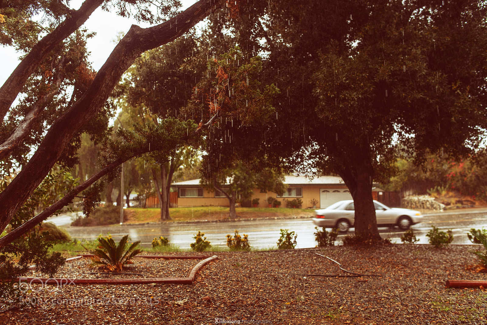 Nikon D610 sample photo. A rainy day photography