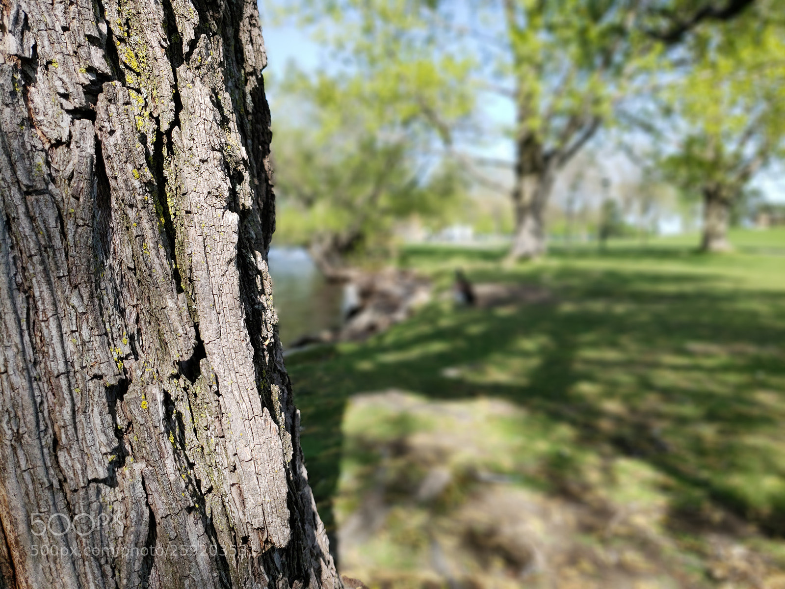 Samsung Galaxy S9 sample photo. Untitled photography
