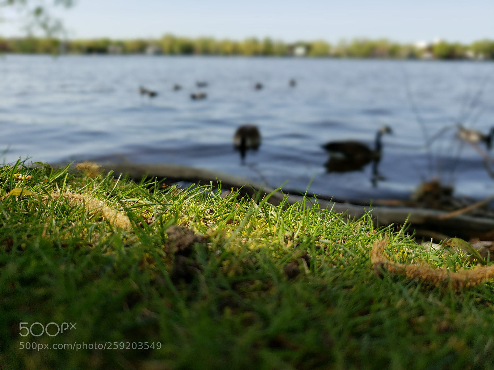 Samsung Galaxy S9 sample photo. Untitled photography