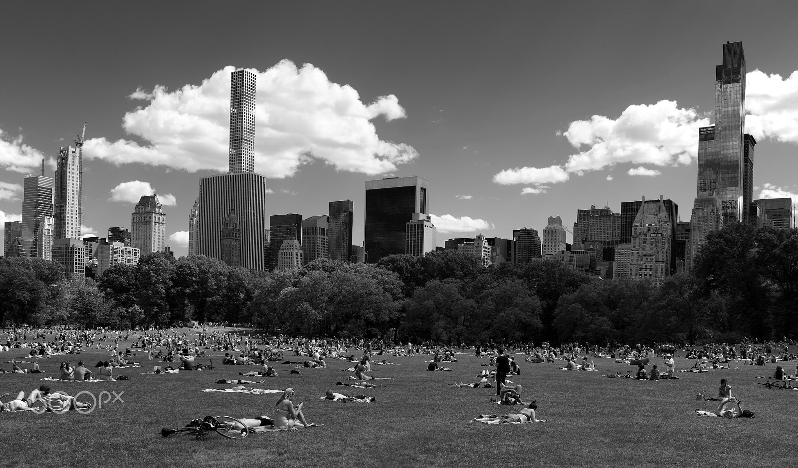 Sony Cyber-shot DSC-RX1R II sample photo. The sheep meadow photography