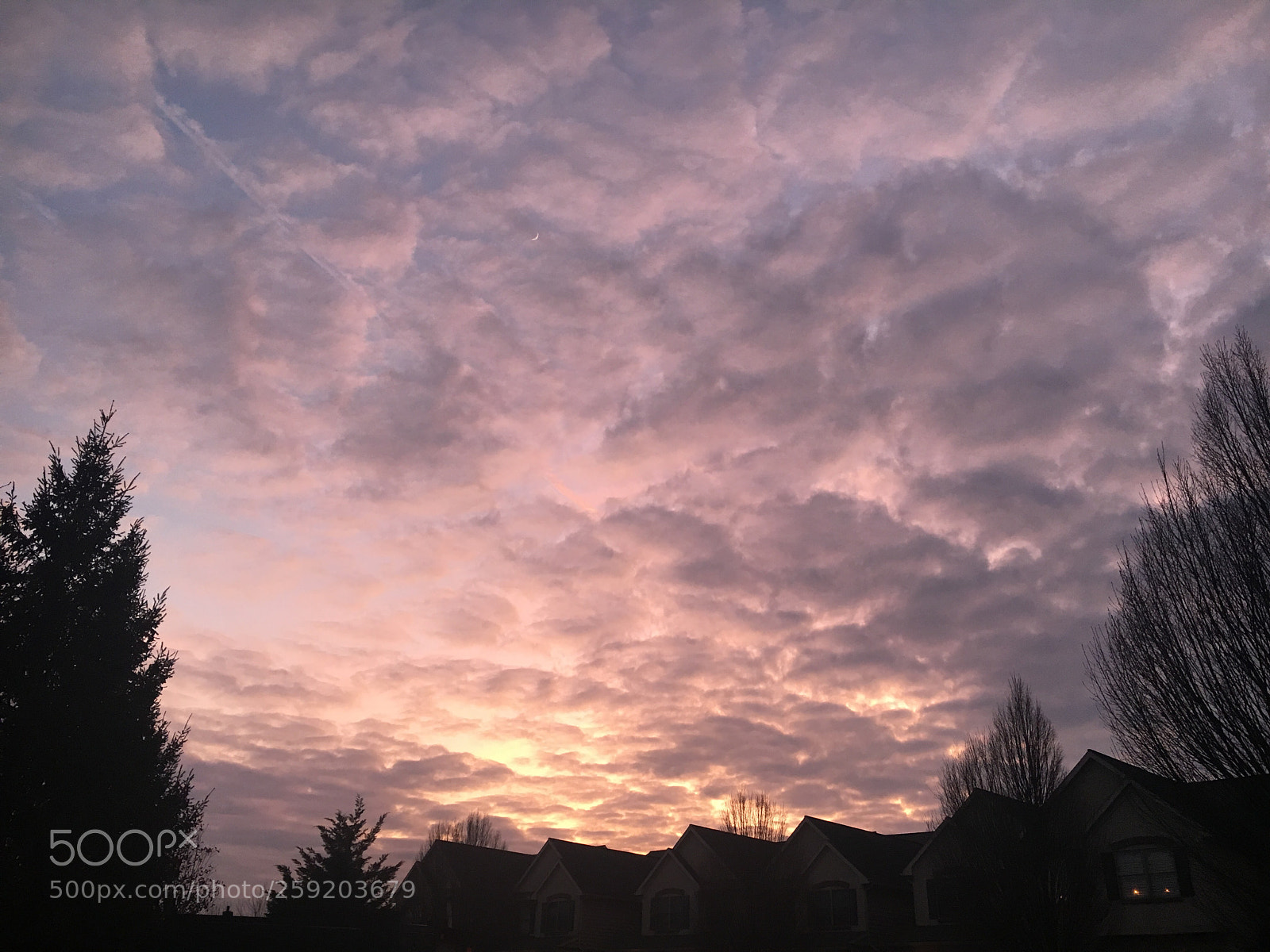Apple iPhone 6s sample photo. Purple sunset : partial silhouette. photography