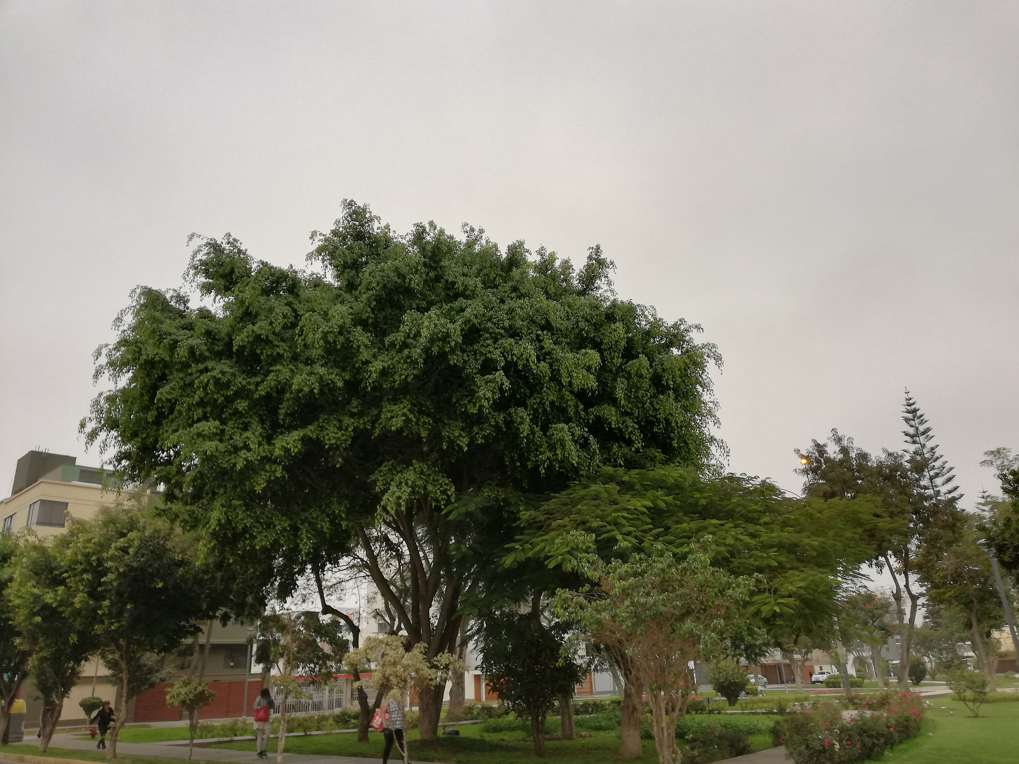 HUAWEI Mate 10 Lite sample photo