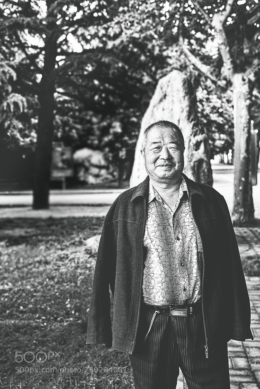 Sony a7 sample photo. Untitled photography