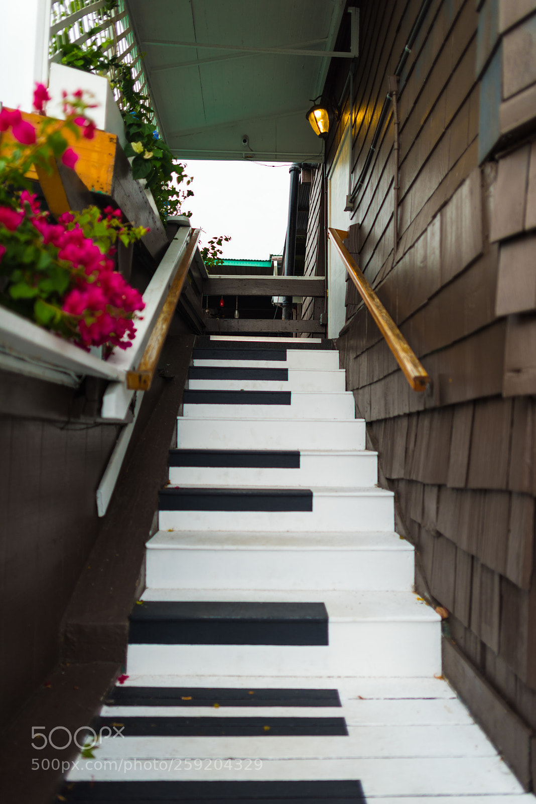 Nikon D810 sample photo. Stairway to heaven photography