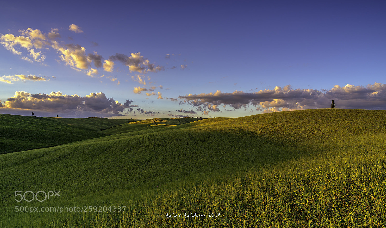 Nikon D750 sample photo. Val d'orcia photography