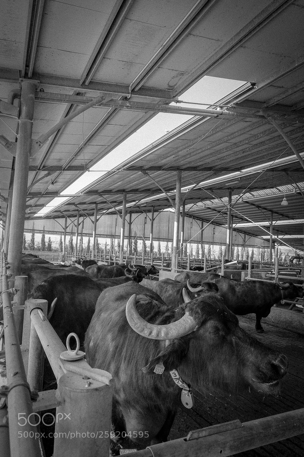 Fujifilm X-T20 sample photo. Untitled photography