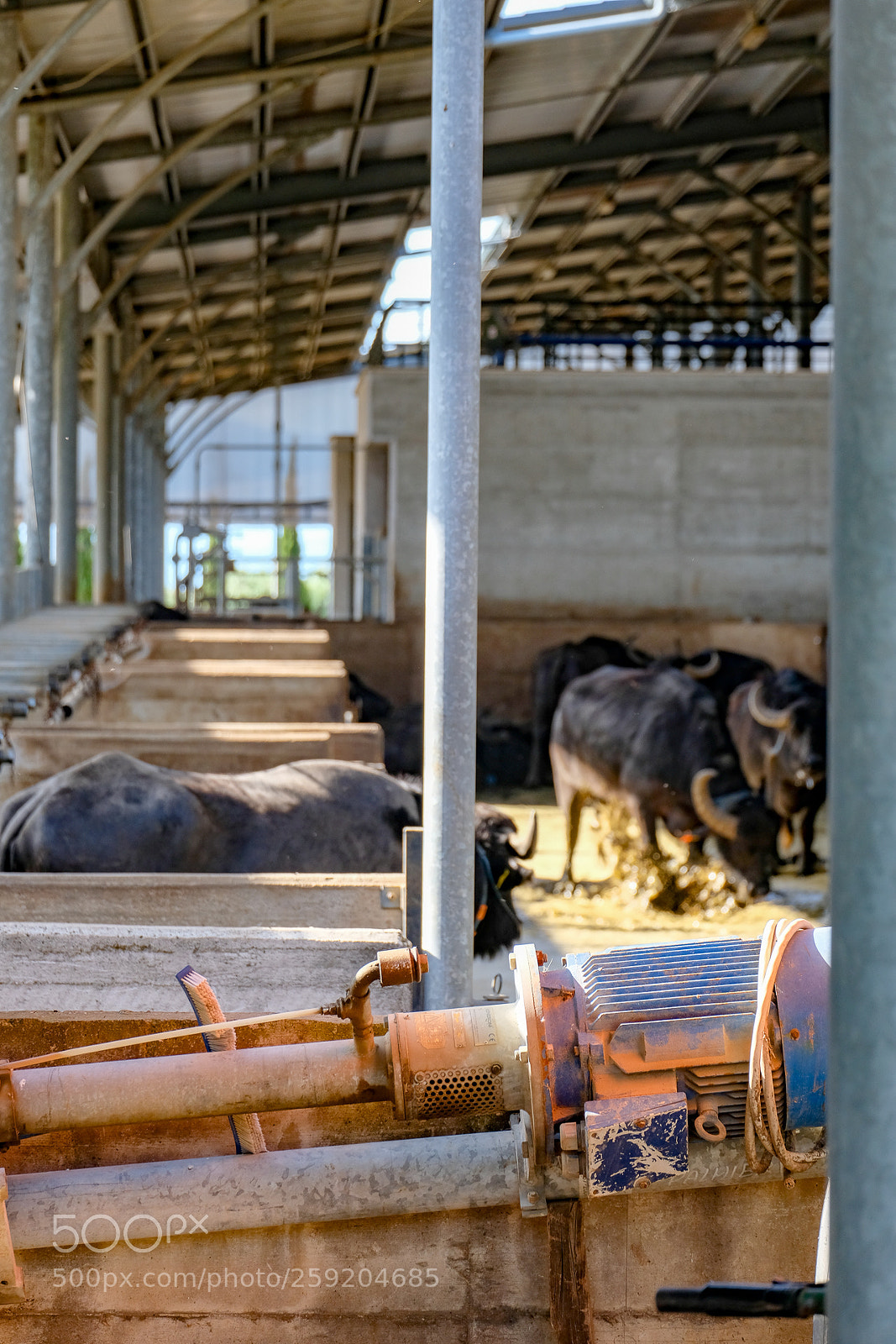 Fujifilm X-T20 sample photo. Untitled photography