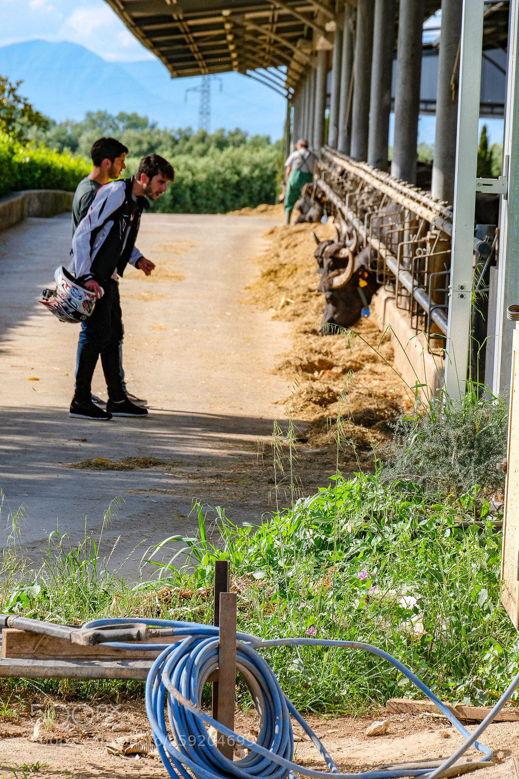 Fujifilm X-T20 sample photo. Untitled photography