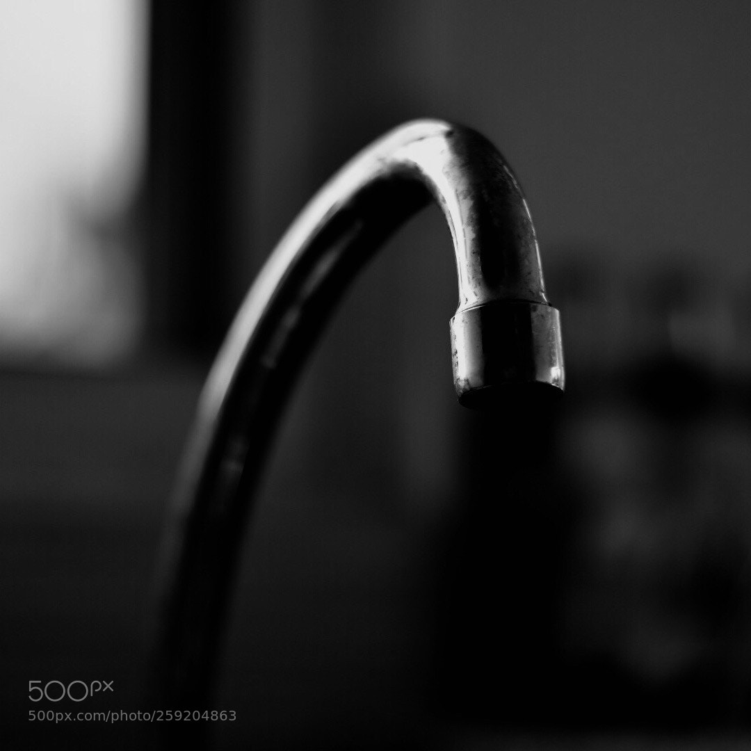 Nikon D5500 sample photo. At plain sight  photography