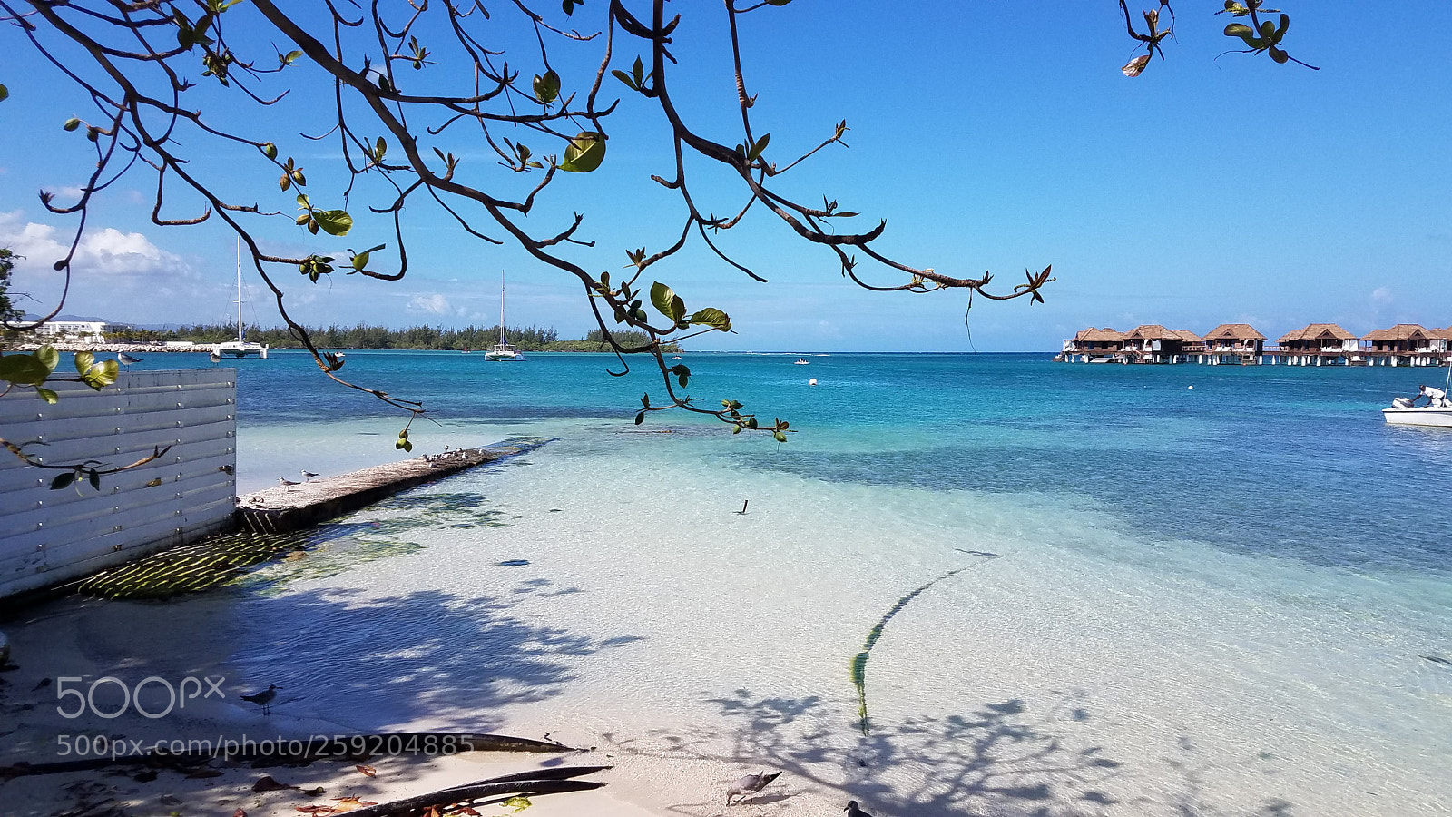 Samsung Galaxy S7 sample photo. 20180218_104006.jpg photography