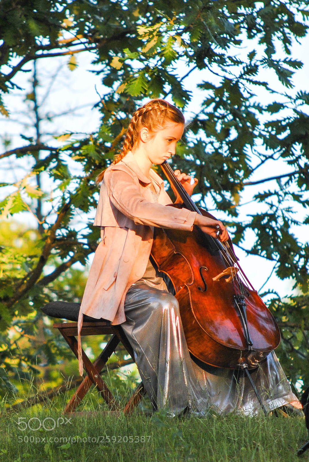 Nikon D3000 sample photo. Violoncellist photography