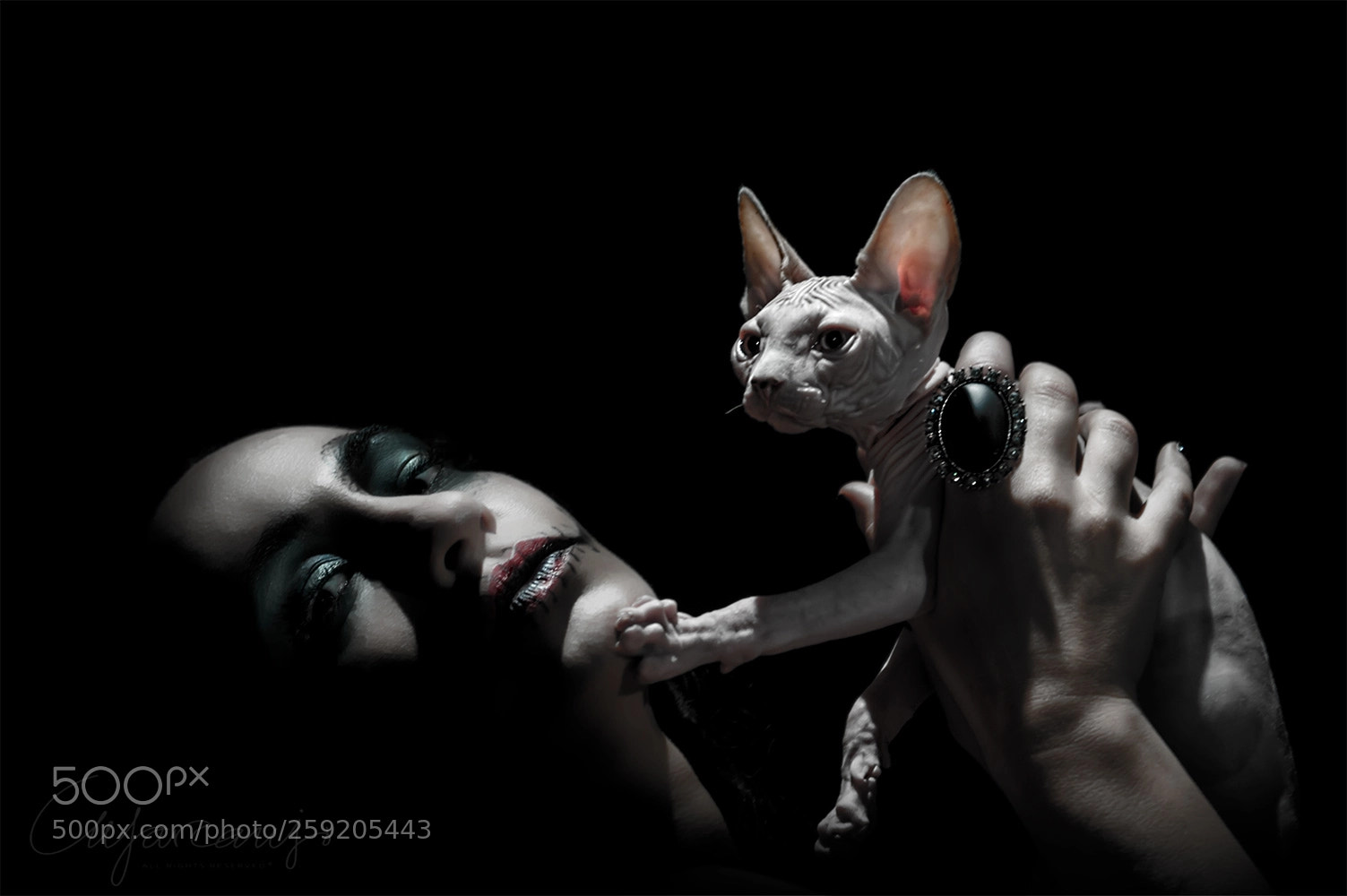 Nikon D700 sample photo. Fausta and mephistopheles photography