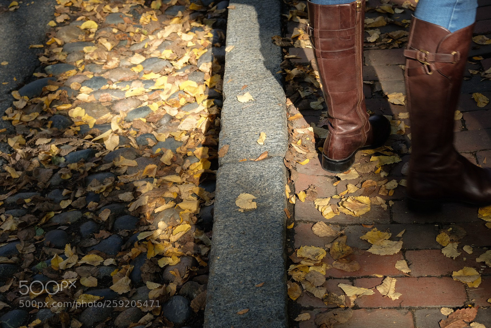 Fujifilm X-Pro2 sample photo. 가을/otoño photography