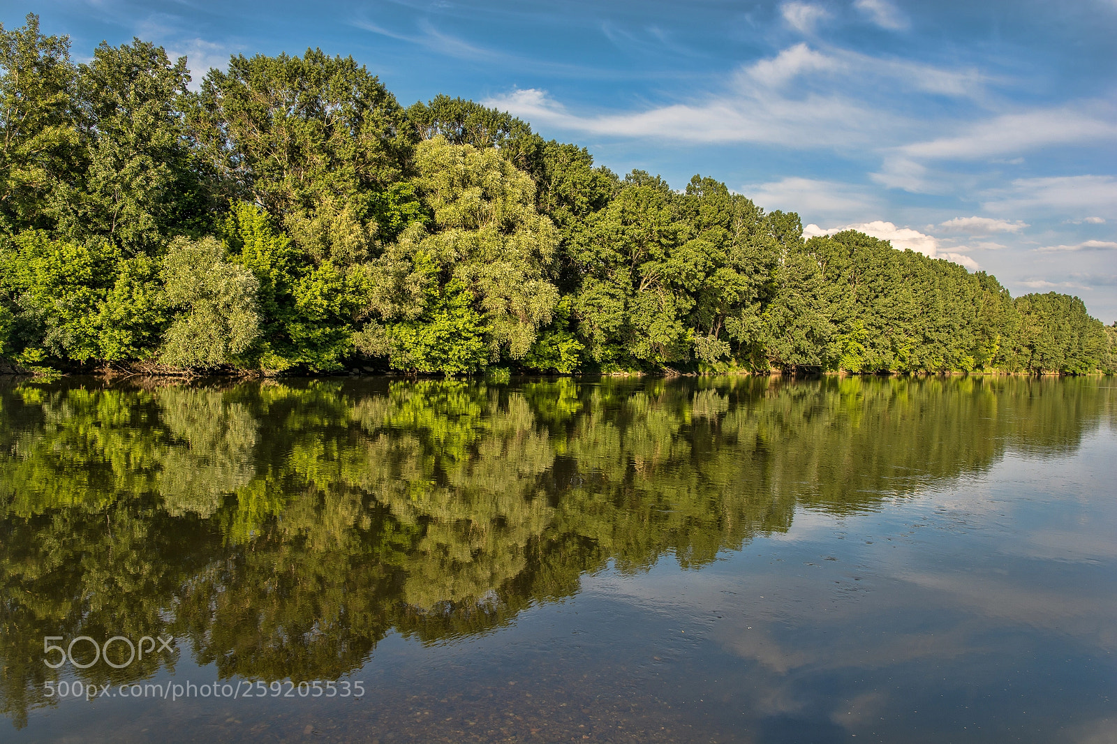 Nikon D7100 sample photo. Symmetry photography