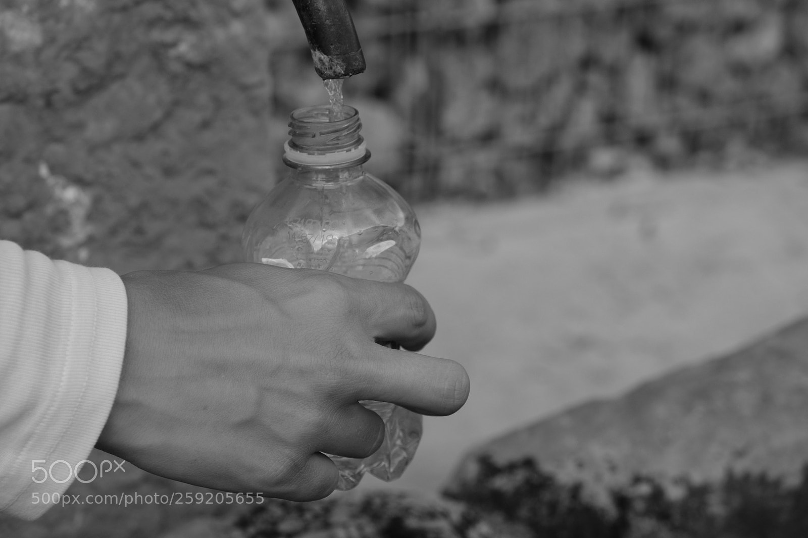 Fujifilm X-T2 sample photo. Untitled photography