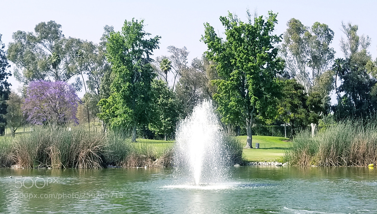 Samsung Galaxy S8+ sample photo. California day photography
