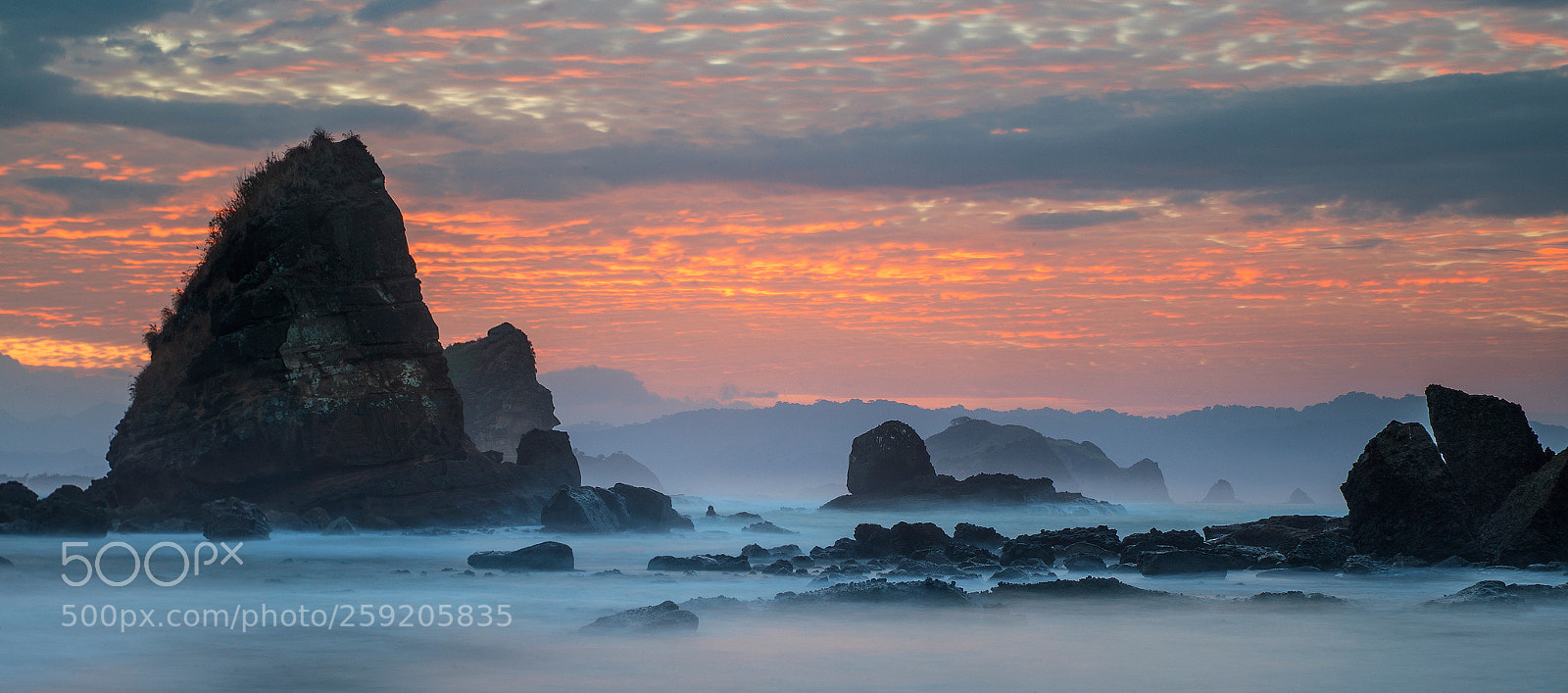 Canon EOS-1D X Mark II sample photo. ... the morning papuma ... photography