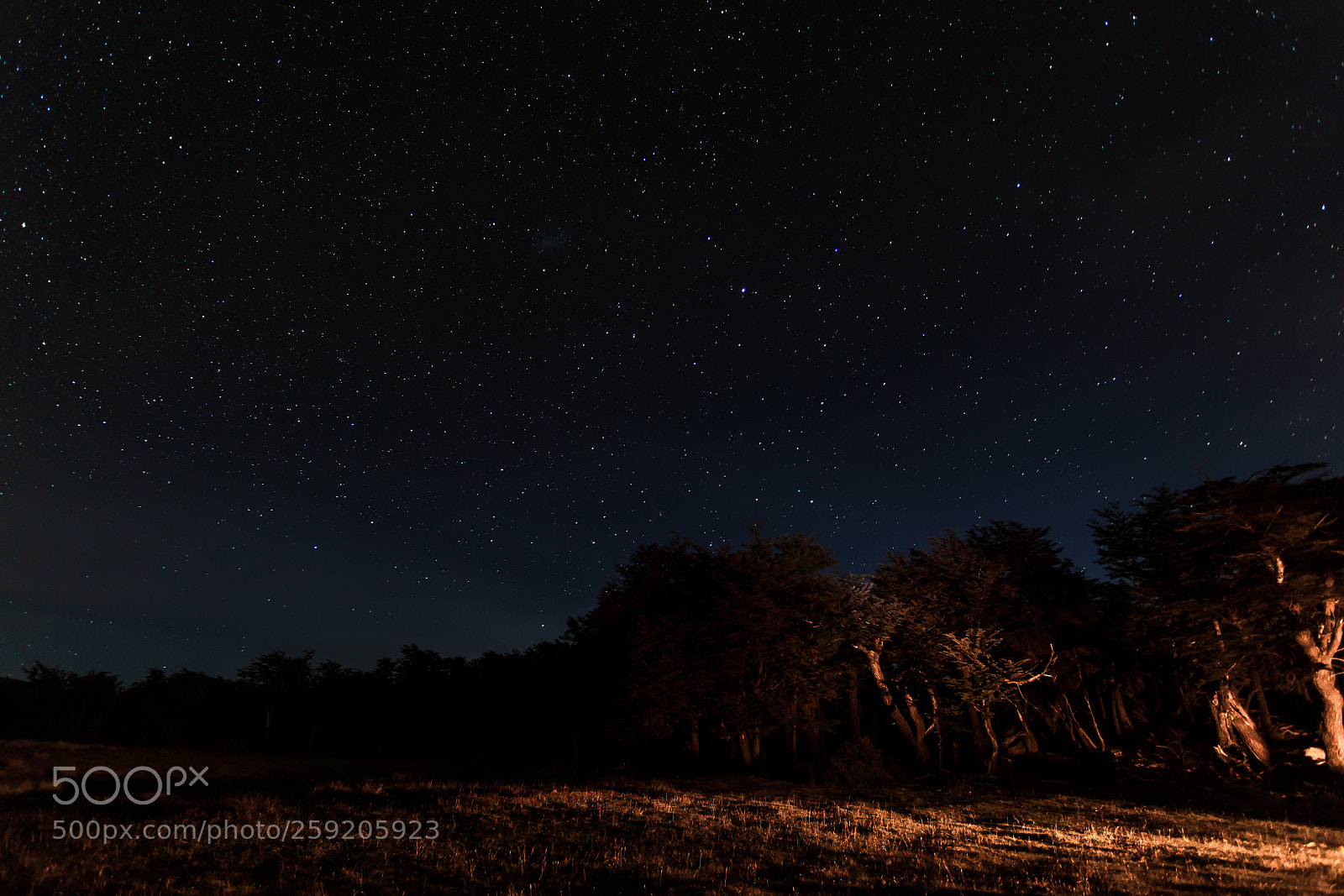 Canon EOS 6D sample photo. Rio guanacos at night photography