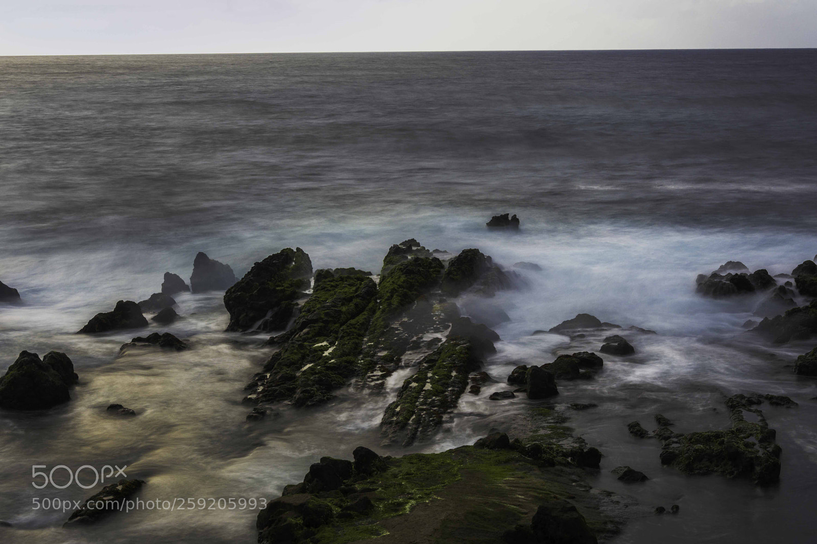 Nikon D7200 sample photo. Costa agreste photography