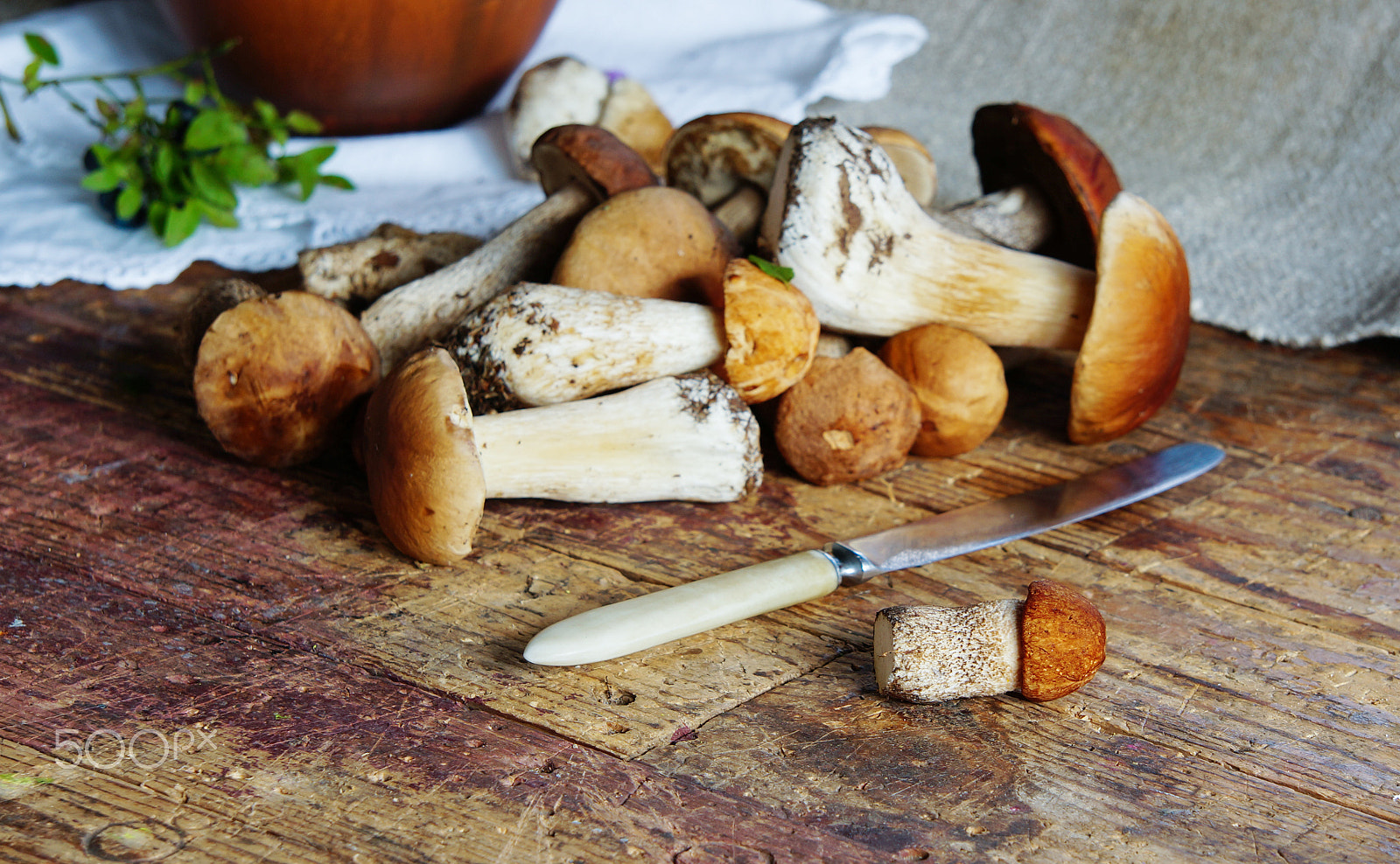 Sony Alpha NEX-5R sample photo. Forest mushrooms on the old wooden table photography