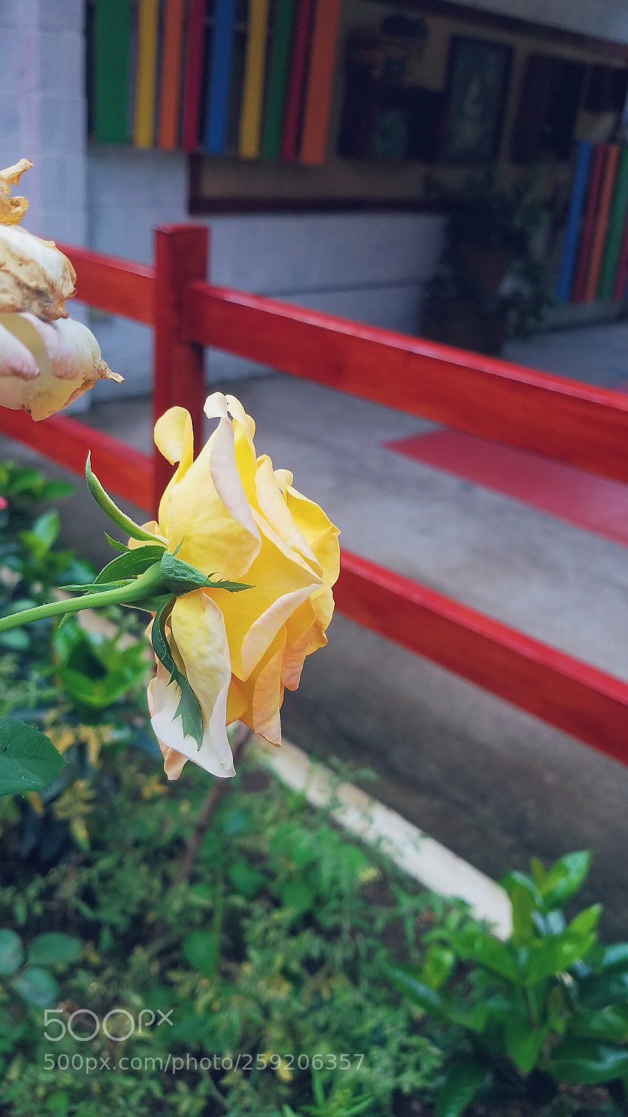 Samsung Galaxy S7 Edge sample photo. Untitled photography