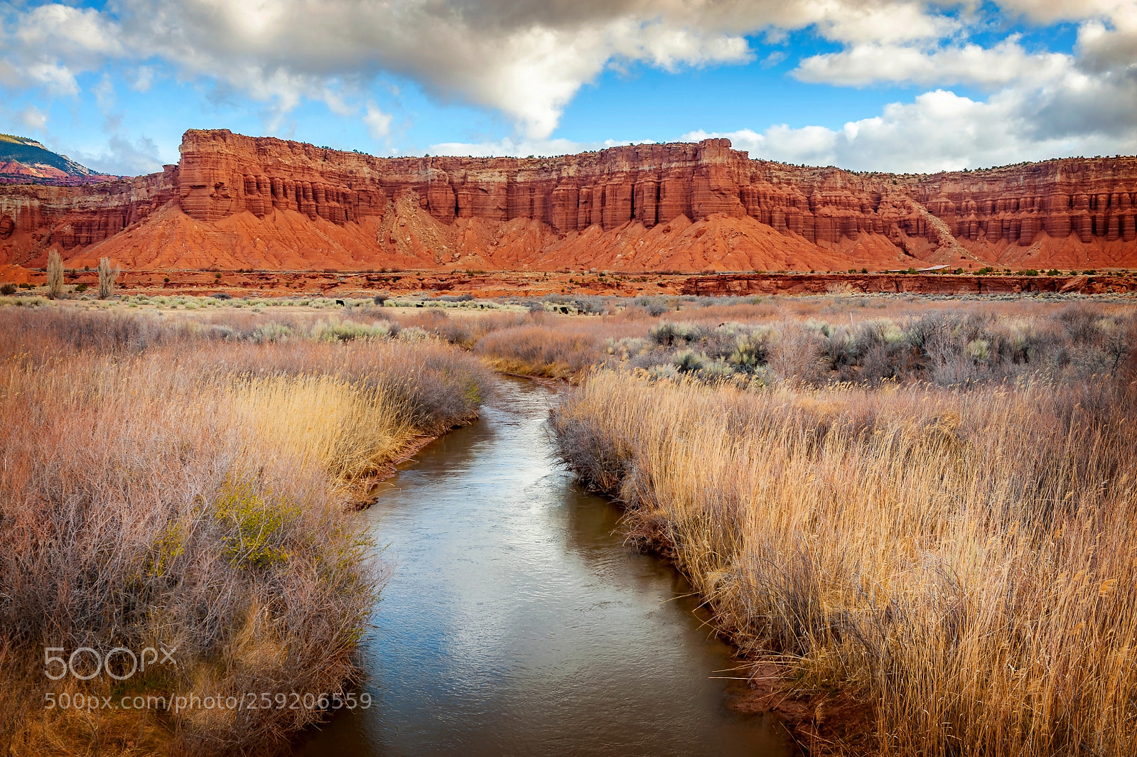 Nikon D700 sample photo. Fremont river, torrey, utah photography