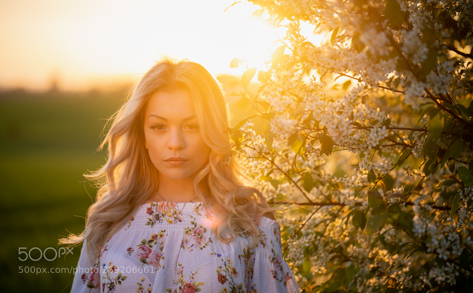 Sony a7 III sample photo. Sofia photography