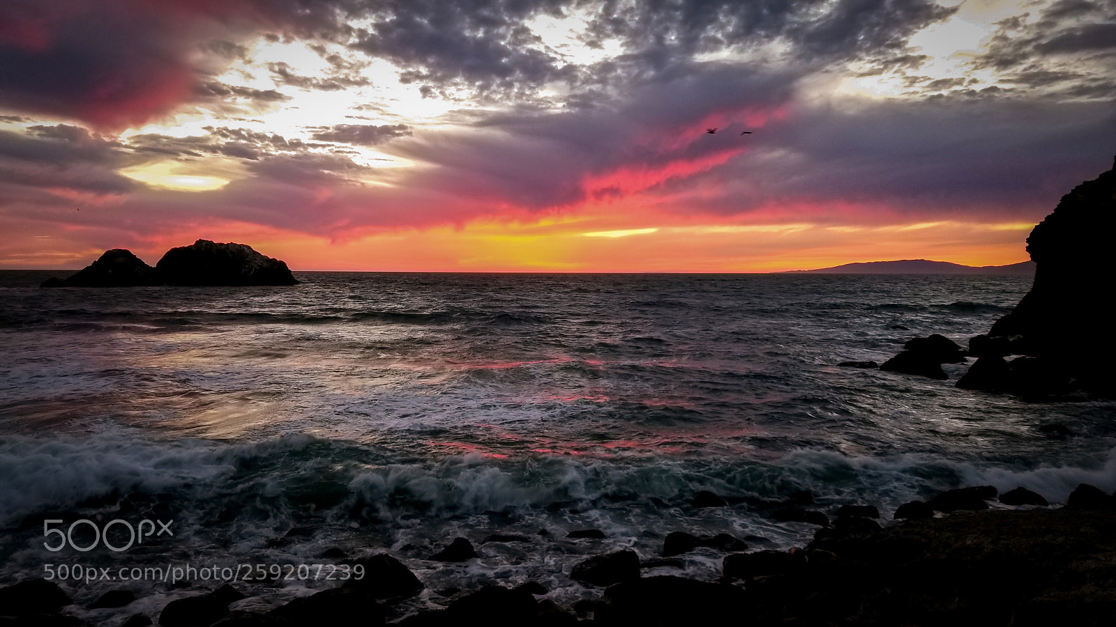 Samsung Galaxy S8 sample photo. The pinkest skies photography