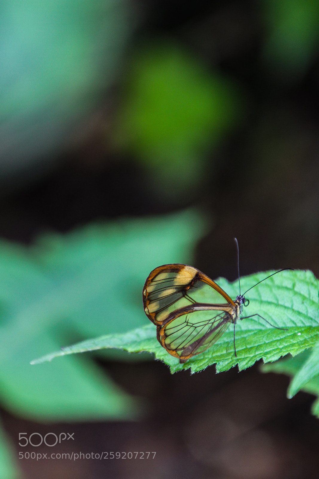 Canon EOS 7D sample photo. Inside out photography