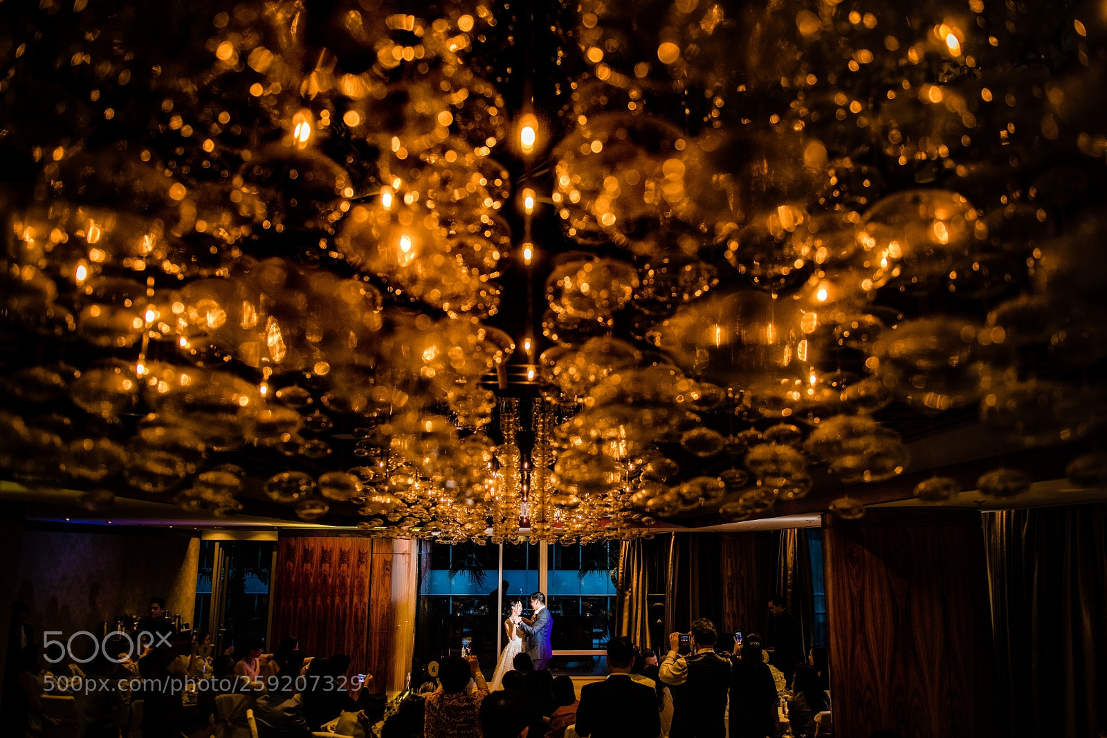 Nikon D850 sample photo. Untitled photography