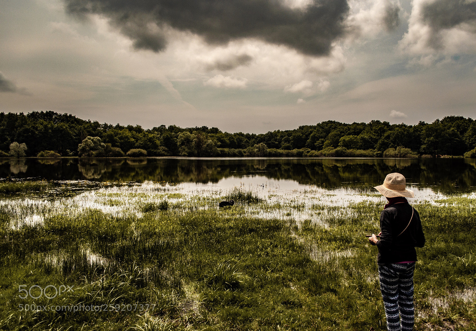 Nikon D5000 sample photo. At the lake photography