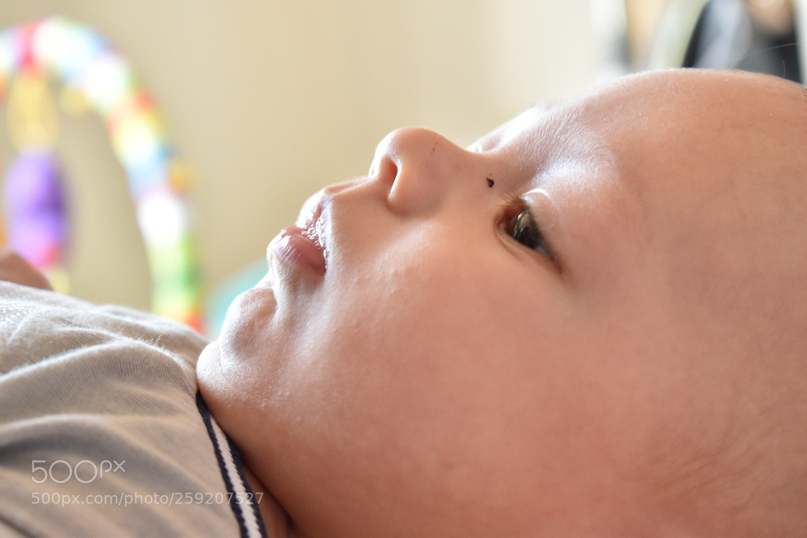 Nikon D5600 sample photo. Untitled photography