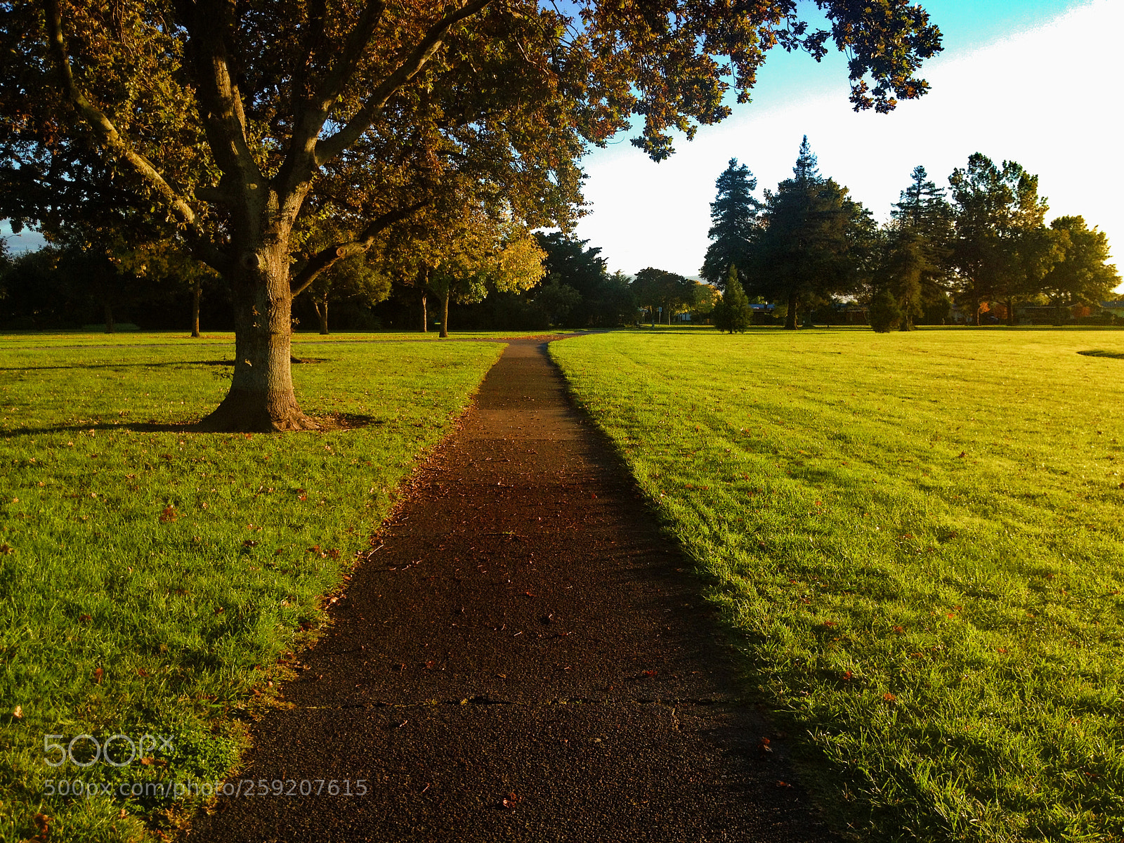 Apple iPhone 4S sample photo. One trail photography