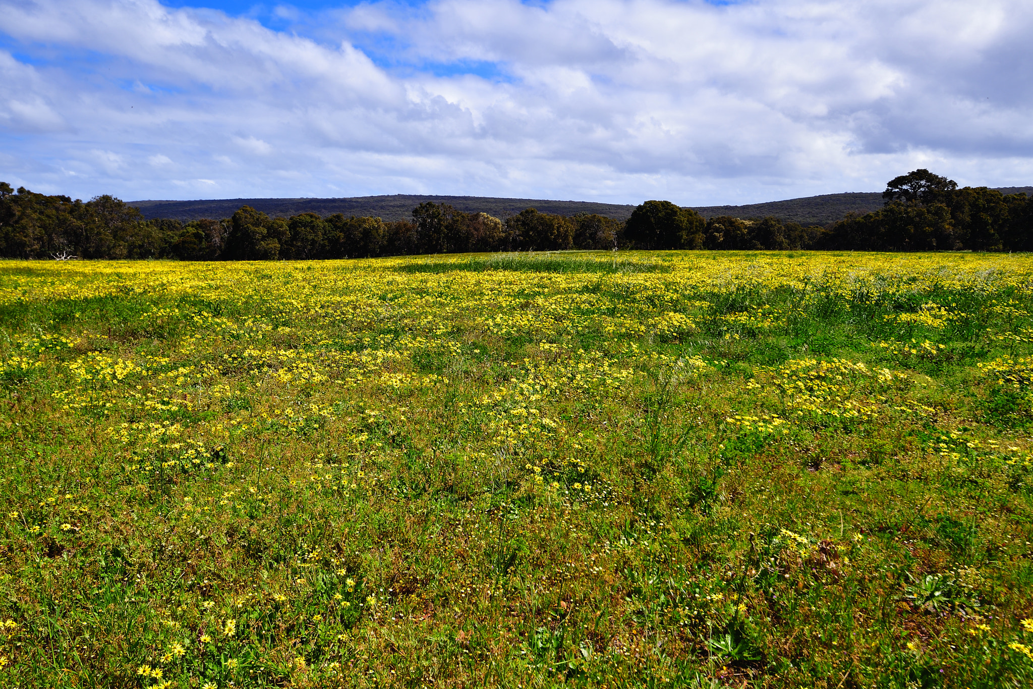 Nikon D5 + Nikon AF-S Nikkor 16-35mm F4G ED VR sample photo. Playground photography