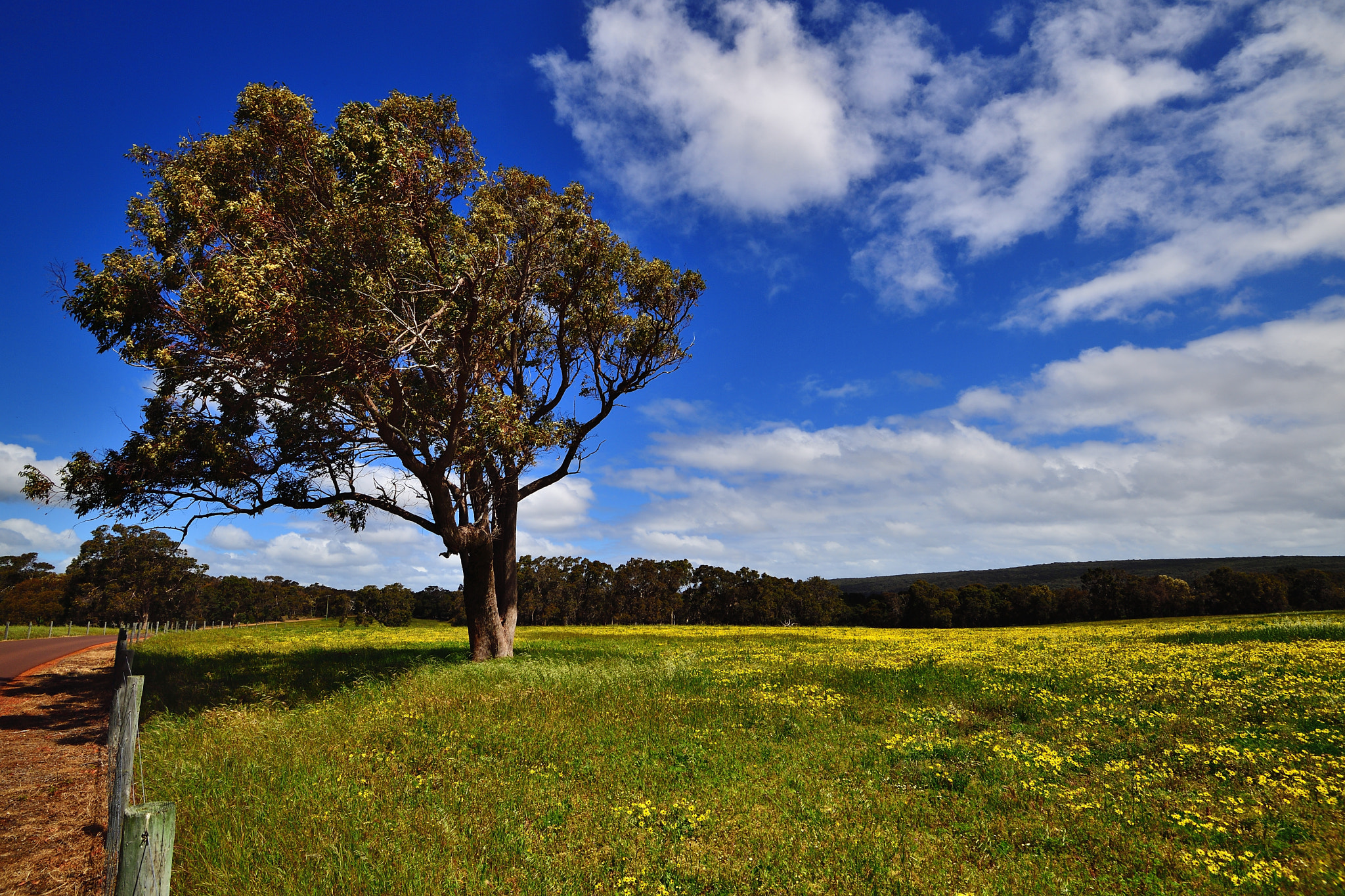 Nikon D5 + Nikon AF-S Nikkor 16-35mm F4G ED VR sample photo. Stand photography